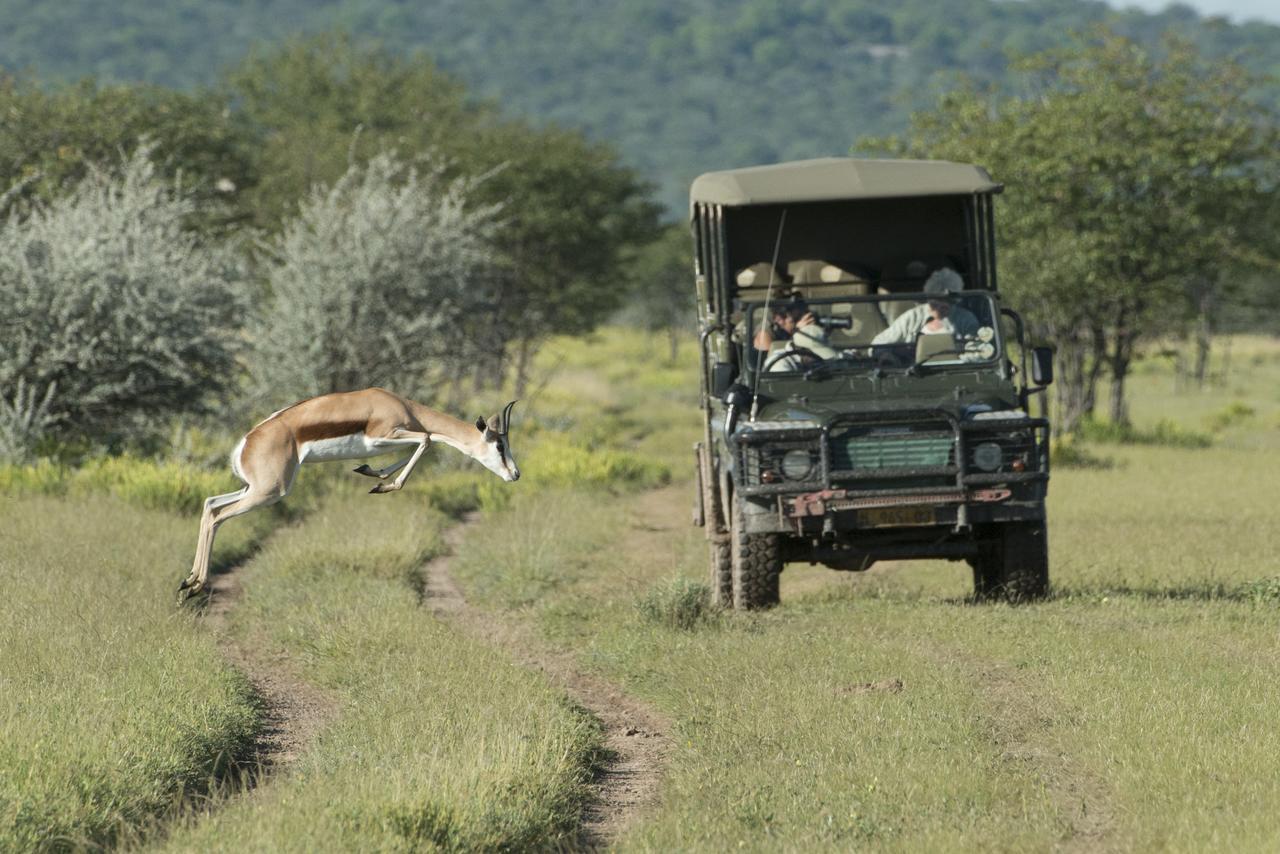 Ongava Tented Camp โอเคาเควโย ภายนอก รูปภาพ