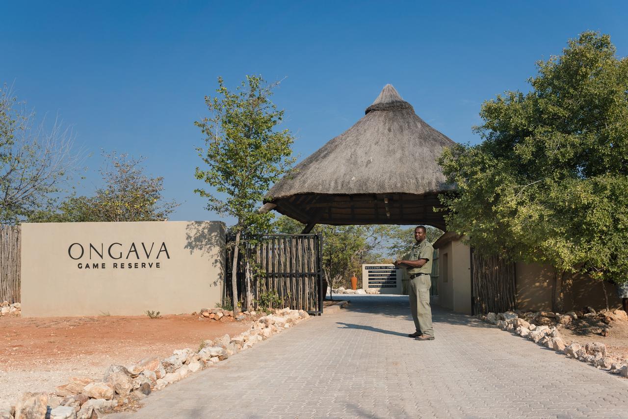 Ongava Tented Camp โอเคาเควโย ภายนอก รูปภาพ