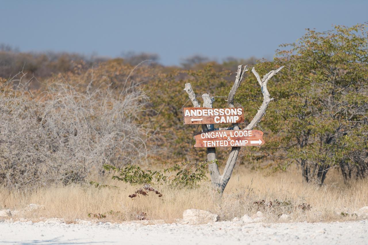 Ongava Tented Camp โอเคาเควโย ภายนอก รูปภาพ